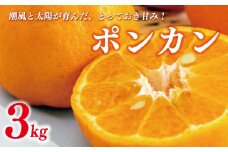 数量限定 先行受付 ポンカン 3kg 10000円 ぽんかん 国産 みかん mikan 蜜柑 ミカン 産地直送 農家直送 特産品 ギフト プレゼント ゼリー ジュース アイス 冷凍 みかん 等に 人気 限定 甘い フルーツ 果物 柑橘 美味しい おいしい 小玉 含む ジューシー サイズ ミックス 岡平農園 愛南町 愛媛県