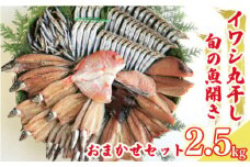 訳あり 魚の 丸干し ＆ 開き おまかせ セット 2.5kg 10000円 魚 海鮮 干物 無添加 ひもの ひらき 詰め合わせ 冷凍 丸干し 鯵 アジ 鯖 さば サバ 鰹 かつお カツオ 鯛 たい タイ 鰯 いわし イワシ 切り身 おつまみ おかず 惣菜 人気 珍味 グルメ 規格外  国産 新鮮 魚介 天然 乾き物 乾物 酒のあて 旬 季節 お中元 お歳暮 母の日 父の日 武久海産 愛南町 愛媛県