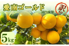 訳あり 愛南ゴールド（河内晩柑）約5kg みかん 蜜柑 河内晩柑 グレープフルーツ 柑橘 果物 フルーツ 前田ファーム 愛媛 愛南 【発送期間 3月下旬～5月上旬 】(なくなり次第終了)