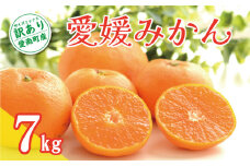 先行予約 訳あり 愛媛みかん 7kg 10000円 温州みかん こたつ みかん 温州 みかん mikan 蜜柑 愛媛 ミカン 完熟 家庭用 産地直送 国産 農家直送 糖度 期間限定 数量限定 特産品 ゼリー ジュース アイス 人気 限定 甘い 果実 果肉 フルーツ 果物 柑橘 先行 事前 予約 受付 ビタミン 健康 美味しい おいしい ジューシー サイズ ミックス くらもとファーム 愛南町 愛媛県