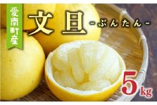 先行予約 文旦 5kg （ Lサイズ 以上 ） 10000円 ぶんたん みかん mikan 蜜柑 ミカン 産地直送 国産 農家直送 糖度 期間限定 数量限定 特産品 ギフト プレゼント ゼリー ジュース アイス 人気 限定 甘い 果実 果肉 フルーツ 果物 柑橘 先行 事前 予約 受付 ビタミン 健康 美味しい おいしい ジューシー サイズ ミックス あいなんマザーズ 愛南町 愛媛県