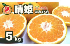 訳あり 晴姫 はれひめ 5kg 配送期間 12月上旬～なくなり次第終了 みかん職人武田屋