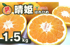 訳あり 晴姫 はれひめ 1.5kg 配送期間 12月上旬～なくなり次第終了 みかん職人武田屋