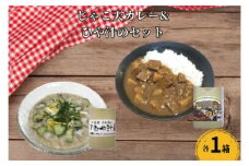お試し用 ひや汁 ＆ じゃこ天 カレー セット 5000円 真鯛 イトヨリ 鯛 塩糀 塩こうじ 麦みそ 冷や汁 ひやじる レトルト 手軽 簡単 郷土料理 田舎料理 お茶漬け 宇和海 ふかうら真鯛 特産品 マルヤス味噌 愛南町 愛媛県