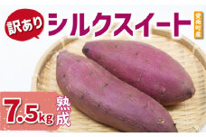訳あり 熟成 シルクスイート 7.5kg サイズ混合 10000円 サツマイモ 焼き芋 干し芋 丸干し 冷凍焼き芋 冷やし焼き芋 やきいも 蜜芋 ほしいも スイートポテト フライドポテト いも天 サイズミックス  甘い ねっとり しっとり ほくほく 生芋 新芋 芋 いも 甘藷 スイーツ おかず さつまいも 国産 人気 糖度 産地直送 農家直送 数量限定 ミッチーのおみかん畑 愛南町 愛媛県