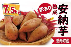 訳あり 熟成 安納芋 7.5kg サイズ混合 10000円 サツマイモ 焼き芋 干し芋 丸干し 冷凍焼き芋 冷やし焼き芋 やきいも 蜜芋 ほしいも スイートポテト フライドポテト いも天 サイズミックス  甘い ねっとり しっとり ほくほく 生芋 新芋 芋 いも 甘藷 あんのういも スイーツ おかず さつまいも 国産 人気 糖度 産地直送 農家直送 数量限定 ミッチーのおみかん畑 愛南町 愛媛県