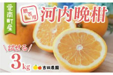 贈答用 河内晩柑 3kg 7000円 お試し用 みかん かわちばんかん 愛南ゴールド あいなん ゴールド 夏 文旦 グレープフルーツ 和製 少量 お試し 産地直送 お中元 ギフト プレゼント 国産 農家直送 期間限定 数量限定 ビタミン 健康 おいしい 特産品 ゼリー ジュース 人気 限定 さわやか 甘い フルーツ 果物 柑橘 蜜柑 吉田農園 愛南町 愛媛県
