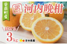 訳あり 河内晩柑 3kg 5000円 お試し用 みかん わけあり かわちばんかん 愛南ゴールド あいなん ゴールド 夏 文旦 グレープフルーツ 和製 家庭用 少量 お試し 産地直送 国産 農家直送 期間限定 数量限定 ビタミン 健康 おいしい 特産品 ゼリー ジュース 人気 限定 さわやか 甘い フルーツ 果物 柑橘 蜜柑 規格外 吉田農園 愛南町 愛媛県