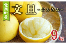 先行予約 文旦 9kg （ Lサイズ 以上 ） 15000円 ぶんたん みかん mikan 蜜柑 ミカン 産地直送 国産 農家直送 糖度 期間限定 数量限定 特産品 ゼリー ジュース アイス 人気 限定 甘い 果実 果肉 フルーツ 果物 柑橘 先行 事前 予約 受付 ビタミン 健康 美味しい おいしい ジューシー サイズ ミックス あいなんマザーズ 愛南町 愛媛県