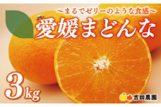 愛媛 まどんな 3kg みかん サイズミックス 18000円 愛果28号 紅まどんな 同品種 あいか アイカ 高級 人気 ブランド 柑橘 果物 フルーツ 数量限定 期間限定 産地直送 国産 農家直送 特産品 お取り寄せ ギフト プレゼント お歳暮 mikan 蜜柑 ミカン マドンナ スマイルカット 甘い おいしい ゼリー ぷるぷる 吉田農園 愛南町 愛媛県