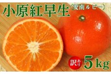 訳あり 小原紅早生 （ 愛南ルビー ）  5kg みかん 12000円 人気 ブランド サイズミックス 柑橘 果物 おばらべにわせ フルーツ ビタミン 美容 健康 ギフト プレゼント 産地直送 国産 農家直送 特産品 お取り寄せ mikan 蜜柑 ミカン 国産 愛媛 愛南町 愛南町青果市場 発送期間：12月中旬～なくなり次第