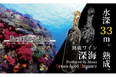 深海/熟成ワイン【水深33ｍで熟成され、引き上げられたワイン】数量限定4本 愛媛県 愛南町 Yショップ西海