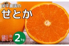 数量限定 訳あり せとか 2kg サイズミックス フルーツ 果物 柑橘 蜜柑せとか ゼリー ぷるぷる 訳あり 高級 みかん スマイルカット 愛媛県産 貴重 期間限定 人気 愛南町 限定 ジューシー 数量限定 甘い フルーツ 先行予約 果物 フルーツ 柑橘 みかん 国産 愛媛 愛南 産地直送 農家直送 数量限定 おいしい  限定 甘い 愛媛県 愛南町 岡平農園 発送時期：2月上旬～