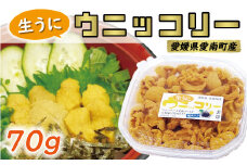 生うに ウニッコリー 70g 塩水 パック 9000円 ガンガゼ ウニ 殻出し 河内晩柑 ブロッコリー 愛南ゴールド 冷蔵 希少 産地直送 国産 期間限定 数量限定 特産品 丼ぶり 寿司 おすし パスタ SDGs 愛媛県 愛南町 愛南の藻場を守る会