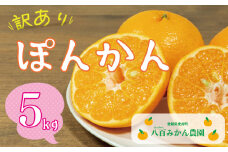 先行予約 訳あり ポンカン 5kg 7000円 ぽんかん みかん mikan 蜜柑 わけあり ミカン 家庭用 産地直送 国産 農家直送 防腐剤不使用 糖度 期間限定 数量限定 特産品 ゼリー ジュース アイス 人気 限定 甘い 果実 果肉 フルーツ 果物 柑橘 先行 事前 予約 受付 ビタミン 健康 美味しい おいしい ジューシー さわやか サイズ ミックス 八百みかん農園 愛南町 愛媛県