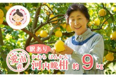 先行予約 訳あり 河内晩柑 9kg 10000円 みかん かわちばんかん わけあり ミカン mikan 愛南ゴールド あいなん ゴールド 家庭用 美生柑 文旦 グレープフルーツ 和製 家庭用 産地直送 国産 農家直送 期間限定 数量限定 先行 受付 事前 予約 ビタミン 特産品 ゼリー ジュース 人気 限定 さわやか 甘い フルーツ 果物 柑橘 蜜柑 規格外 あいなんマザーズ 愛南町 愛媛県