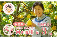 先行予約 訳あり 河内晩柑 3kg 5000円 みかん かわちばんかん わけあり ミカン mikan 愛南ゴールド あいなん ゴールド 家庭用 少量 お試し 文旦 グレープフルーツ 和製 家庭用 産地直送 国産 農家直送 期間限定 数量限定 先行 受付 事前 予約 ビタミン 特産品 ゼリー ジュース 人気 限定 さわやか 甘い フルーツ 果物 柑橘 蜜柑 規格外 あいなんマザーズ 愛南町 愛媛県