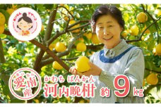 先行予約 河内晩柑 9kg 15000円 みかん かわちばんかん ミカン mikan 愛南ゴールド あいなん ゴールド 美生柑 文旦 グレープフルーツ 和製 産地直送 国産 農家直送 期間限定 数量限定 先行 受付 事前 予約 ビタミン 特産品 ゼリー ジュース 人気 限定 さわやか 甘い フルーツ 果物 柑橘 蜜柑 あいなんマザーズ 愛南町 愛媛県