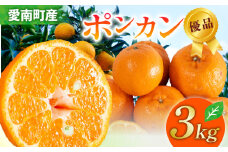 【先行受付】贈答品 ポンカン 約3kg【発送時期 2月上旬～なくなり次第終了】 ぽんかん みかん 贈答品 ポンカン  果物 くだもの フルーツ 柑橘 蜜柑 数量限定 国産 愛媛 愛南 あいなん 1万円 家庭用 期間限定 ビタミン 特産品 高級品 優品 高級 ゼリー ジュース 甘い 蜜柑 柑橘 冬 清家ばんかんビレッジ 愛媛 愛南