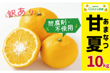 先行予約 訳あり 甘夏 10kg 10000円 みかん mikan 蜜柑 わけあり あまなつ 夏みかん グレープフルーツ だいだい 家庭用 事前 予約 受付 産地直送 国産 農家直送 糖度 期間限定 数量限定 特産品 ゼリー マーマレード ピール ジュース デザート 人気 限定 おいしい 果実 果肉 フルーツ 果物 柑橘 美味しい サイズ ミックス  防腐剤不使用 八百みかん農園 愛南町 愛媛県