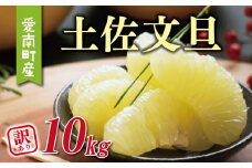 訳あり 土佐 文旦 10kg （ M - L サイズ ） 10000円 ぶんたん みかん mikan 蜜柑 ミカン 土佐文旦 わけあり 家庭用 産地直送 国産 農家直送 糖度 期間限定 数量限定 特産品 ゼリー ジュース アイス 人気 限定 甘い 果実 果肉 フルーツ 果物 柑橘 ビタミン 健康 美味しい おいしい ジューシー 小玉 サイズ ミックス 果樹園みどり 愛南町 愛媛県