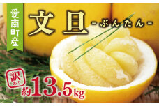 訳あり 文旦 13.5kg 10000円 ぶんたん みかん mikan 蜜柑 ミカン わけあり 家庭用 産地直送 国産 農家直送 糖度 期間限定 数量限定 特産品 ゼリー ジュース アイス 人気 限定 甘い 果実 果肉 フルーツ 果物 柑橘 ビタミン 健康 美味しい おいしい ジューシー 小玉 含む サイズ ミックス 規格外 傷み補償 500g ミッチーのおみかん畑 愛南町 愛媛県