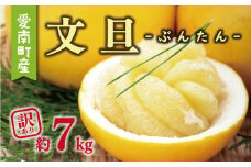 訳あり 文旦 7kg 7000円 ぶんたん みかん mikan 蜜柑 ミカン わけあり 家庭用 産地直送 国産 農家直送 糖度 期間限定 数量限定 特産品 ゼリー ジュース アイス 人気 限定 甘い 果実 果肉 フルーツ 果物 柑橘 ビタミン 健康 美味しい おいしい ジューシー 小玉 含む サイズ ミックス 規格外 傷み補償 500g ミッチーのおみかん畑 愛南町 愛媛県