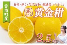 黄金柑 2.5kg サイズミックス 7000円 みかん おうごんかん ゴールデンオレンジ 高級 希少 人気 ブランド 柑橘 果物 フルーツ 数量限定 期間限定 産地直送 国産 農家直送 特産品 お取り寄せ ギフト プレゼント mikan 蜜柑 ミカン 甘い 糖度 おいしい 果汁 さわやか 果樹園みどり 愛南町 愛媛県