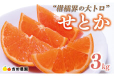 【2026年3月上旬頃発送】【先行予約】せとか 3kg みかん サイズミックス 18000円 高級 人気 ブランド プレミアム 柑橘 果物 フルーツ 数量限定 期間限定 産地直送 国産 農家直送 特産品 お取り寄せ ギフト プレゼント mikan 蜜柑 ミカン オレンジ スマイルカット ビタミン 甘い おいしい 大トロ 不揃い 吉田農園 愛南町 愛媛県