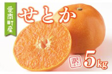 訳あり せとか 5kg みかん 家庭用 サイズミックス 20000円 高級 人気 ブランド プレミアム 柑橘 果物 フルーツ 数量限定 期間限定 産地直送 国産 農家直送 わけあり 特産品 お取り寄せ mikan 蜜柑 ミカン オレンジ スマイルカット ビタミン 甘い おいしい 大トロ 不揃い ヤマカ園 愛南町 愛媛県
