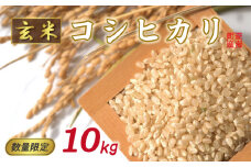 先行予約 新米 令和7年産 コシヒカリ 玄米 10kg （ 一等米 ） 20000円 お米 米 こめ げんまい 産地直送 国産 農家直送 期間限定 数量限定 特産品 先行 事前 予約 受付 令和7年度産 2025年産 もっちり 粘り 甘み おいしい おにぎり こしひかり 内祝い お祝い 贈答品 お返し プレゼント 土産 御礼 お礼 お取り寄せ ぽぷら愛南 愛南町 愛媛県