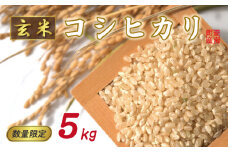 先行予約 新米 令和7年産 コシヒカリ 玄米 5kg （ 一等米 ） 10000円 お米 米 こめ げんまい 産地直送 国産 農家直送 期間限定 数量限定 特産品 先行 事前 予約 受付 令和7年度産 2025年産 もっちり 粘り 甘み おいしい おにぎり こしひかり 内祝い お祝い 贈答品 お返し プレゼント 土産 御礼 お礼 お取り寄せ ぽぷら愛南 愛南町 愛媛県