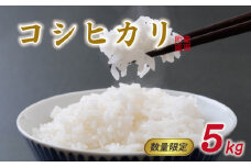 先行予約 新米 令和7年産 コシヒカリ 5kg （ 一等米 ） 12000円 お米 白米 精米 米 こめ 産地直送 国産 農家直送 期間限定 数量限定 特産品 先行 事前 予約 受付 令和7年度産 2025年産 もっちり 粘り 甘み おいしい おにぎり こしひかり 内祝い お祝い 贈答品 お返し プレゼント 土産 御礼 お礼 お取り寄せ ぽぷら愛南 愛南町 愛媛県