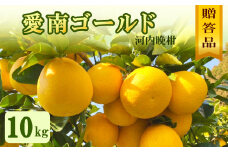 贈答用 愛南ゴールド（河内晩柑）約10kg みかん 蜜柑 河内晩柑 グレープフルーツ ギフト 贈答品 お祝い プレゼント 果実 ジュース ゼリー 正品 人気 果汁 さわやか 甘い 夏 デザート 柑橘 果物 フルーツ 前田ファーム 愛媛 愛南 【発送期間 3月下旬～5月上旬 】(なくなり次第終了)