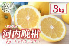 お試し用 訳あり 木成り 河内晩柑 樹齢 20年以上 3kg サイズミックス 5000円 みかん かわちばんかん ミカン mikan わけあり 愛南ゴールド 家庭用 あいなん ゴールド 美生柑 文旦 派生 産地直送 国産 農家直送 減農薬 期間限定 数量限定 特産品 人気 限定 甘い おいしい 小玉 含む フルーツ 果物 柑橘 蜜柑 少額 試供品 お試し品 少量 規格外 宮下明良 愛南町 愛媛県