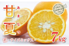 訳あり 甘夏 7kg サイズミックス 7000円 みかん 愛媛 ミカン mikan 蜜柑 わけあり あまなつ 夏みかん だいだい 家庭用 産地直送 国産 農家直送 減農薬 期間限定 数量限定 特産品 ゼリー マーマレード ピール ジュース デザート 等に 人気 限定 おいしい さわやか 果実 果肉 美味しい 小玉 含む フルーツ 果物 柑橘 規格外 宮下明良 愛南町 愛媛県