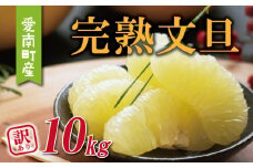 訳あり 木成り 完熟 文旦 10kg サイズミックス 10000円 ぶんたん みかん mikan 蜜柑 ミカン 土佐文旦 わけあり 家庭用 産地直送 国産 農家直送 糖度 期間限定 数量限定 特産品 ゼリー ジュース アイス 等に 人気 限定 甘い 果実 果肉 フルーツ 果物 柑橘 ビタミン 健康 美味しい おいしい ジューシー 小玉 含む サイズ ミックス 規格外 果樹園みどり 愛南町 愛媛県