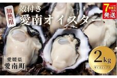 【7営業日以内発送】愛南 オイスター 2kg 16000円 先行予約 2025年 7月以降発送 牡蠣 加熱用 殻付き 三倍体 真牡蠣 ブランド 特産品 お取り寄せ グルメ 大粒 濃厚 クリーミー おいしい 新鮮 ご褒美 かき パスタ アヒージョ まがき 夏 産地 直送 愛南漁業協同組合 御荘支所 愛媛県 愛南町
