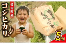【 令和7年産 】 新米 令和7年産 コシヒカリ 5kg 米 お米 白米 精米 こしひかり 人気 低温 貯蔵庫 産地直送 国産 農家直送 期間限定 数量限定 特産品 先行 事前 予約 受付 令和7年度産 2025年産 大粒 もっちり 粘り 甘み おいしい おにぎり 贈答品 プレゼント 和家農園 愛南町 愛媛県