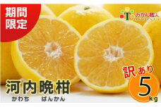 【訳あり】 みかん職人の河内晩柑 5kg (なくなり次第終了) 河内晩柑 果物 柑橘 みかん 愛南ゴールド 蜜柑 グレープフルーツ ゼリー ジュース アイス 果物 フルーツ 健康 美容 ビタミン クエン酸 訳あり サイズミックス 規格外 送料無料 5kg 8000円 武田屋