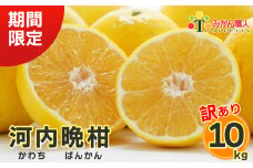 【訳あり】 みかん職人の河内晩柑 10kg (なくなり次第終了) 河内晩柑 果物 柑橘 みかん 愛南ゴールド 蜜柑 グレープフルーツ ゼリー ジュース アイス 果物 フルーツ 健康 美容 ビタミン クエン酸 訳あり サイズミックス 規格外 送料無料 10kg 15000円 武田屋