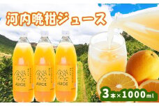 河内晩柑ストレートジュース 3本×1000ml 100%  河内晩柑 愛南ゴールド ジュース 柑橘 蜜柑 かんきつ 冬 秋 旬 正月 おすそ分け シェア 愛媛 愛媛県 愛南町 お歳暮 プレゼント ギフト 高級 くだもの ジュース 果物 フルーツ スイーツ ジュース おやつ お菓子 和菓子 清家ばんかんビレッジ