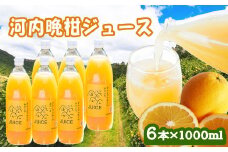 河内晩柑ストレートジュース 6本×1000ml 100%  河内晩柑 愛南ゴールド ジュース 柑橘 蜜柑 かんきつ 冬 秋 旬 正月 おすそ分け シェア 愛媛 愛媛県 愛南町 お歳暮 プレゼント ギフト 高級 くだもの ジュース 果物 フルーツ スイーツ ジュース おやつ お菓子 和菓子 清家ばんかんビレッジ