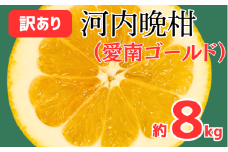 訳あり 愛南ゴールド ( 河内晩柑 ) 8kg 9000円  かわちばんかん ミカン わけあり  家庭用 あいなん ゴールド 蜜柑 和製 グレープフルーツ 産地直送 国産 農家直送 期間限定 数量限定 フルーツ 果物 柑橘 傷 不揃い 規格外 愛媛県 愛南町 愛なんよ 