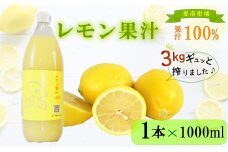 レモン 果汁 1本×1000ml 100% イエローレモン ジュース 柑橘 蜜柑 かんきつ 冬 秋 旬 正月 おすそ分け シェア 愛媛 愛媛県 愛南町 お歳暮 プレゼント ギフト 高級 くだもの 果物 フルーツ おやつ お菓子 和菓子 清家ばんかんビレッジ