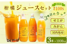 柑橘ジュース セット 3本×1000ml 100% せとか 温州 みかん 河内晩柑 ストレートジュース 柑橘 詰め合わせ3本 100% せとか 温州 みかん 河内晩柑 柑橘 蜜柑 かんきつ 冬 秋 旬 正月 おすそ分け シェア 愛媛 愛媛県 愛南町 お歳暮 プレゼント ギフト 高級 くだもの ジュース 果物 フルーツ おやつ お菓子 和菓子 愛媛 愛南 清家ばんかんビレッジ