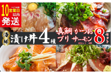 【10営業日以内発送】 種類 が 選べる 漬丼 厳選 4種 8食 セット 真鯛 カツオ ブリ サーモン 10000円 食べ比べ 漬け丼 づけ丼 海鮮丼 鯛 たい  かつお 鰹 鮭 冷凍 人気 魚介 海鮮 食べ比べ お手軽 加工品 簡単 晩ごはん 小分け パック 新鮮 鮮魚 養殖 国産 詰め合わせ ギフト プレゼント 本格  ふるさと納税 南予ビージョイ 愛南町 愛媛県
