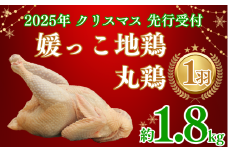 【 2025年 クリスマス 先行予約 】 媛っこ地鶏 丸鶏 約 1.8㎏ まるごと 鶏肉 鳥肉 肉 チキン むね肉 もも肉 クリスマス ローストチキン ごちそう 愛媛県 愛南町 ローカルスタンダード