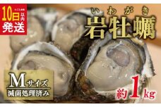 【10日以内発送】 岩牡蠣 Ｍサイズ 約 1kg （4～5個） 10000円 いわがき 殻付き 岩がき 殻付 岩カキ 岩かき かき カキ オイスター 大粒 肉厚 カキフライ 焼き牡蠣 蒸し牡蠣 焼きがき ミルク ソテー 酒蒸し バーベキュー などに 冷蔵 国産 産地直送 期間限定 数量限定 夏 季節限定 特産品 魚介 養殖 人気 贈答 プレゼント ギフト 土産 お取り寄せ 上甲商会 愛南町 愛媛県