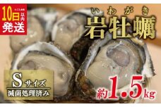 【10日以内発送】 岩牡蠣 Sサイズ 約 1.5kg （8～10個） 10000円 いわがき 殻付き 岩がき 殻付 岩カキ 岩かき かき カキ オイスター 大粒 肉厚 カキフライ 焼き牡蠣 蒸し牡蠣 焼きがき ミルク ソテー 酒蒸し バーベキュー などに 冷蔵 国産 産地直送 期間限定 数量限定 夏 季節限定 特産品 魚介 養殖 人気 贈答 プレゼント ギフト お取り寄せ 上甲商会 愛南町 愛媛県